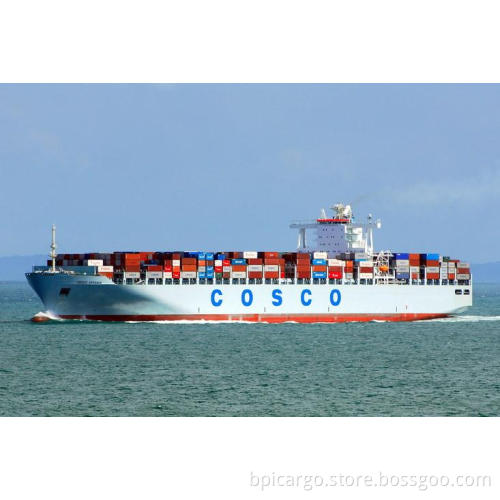 Ocean Freight From China to Abu Dhabi